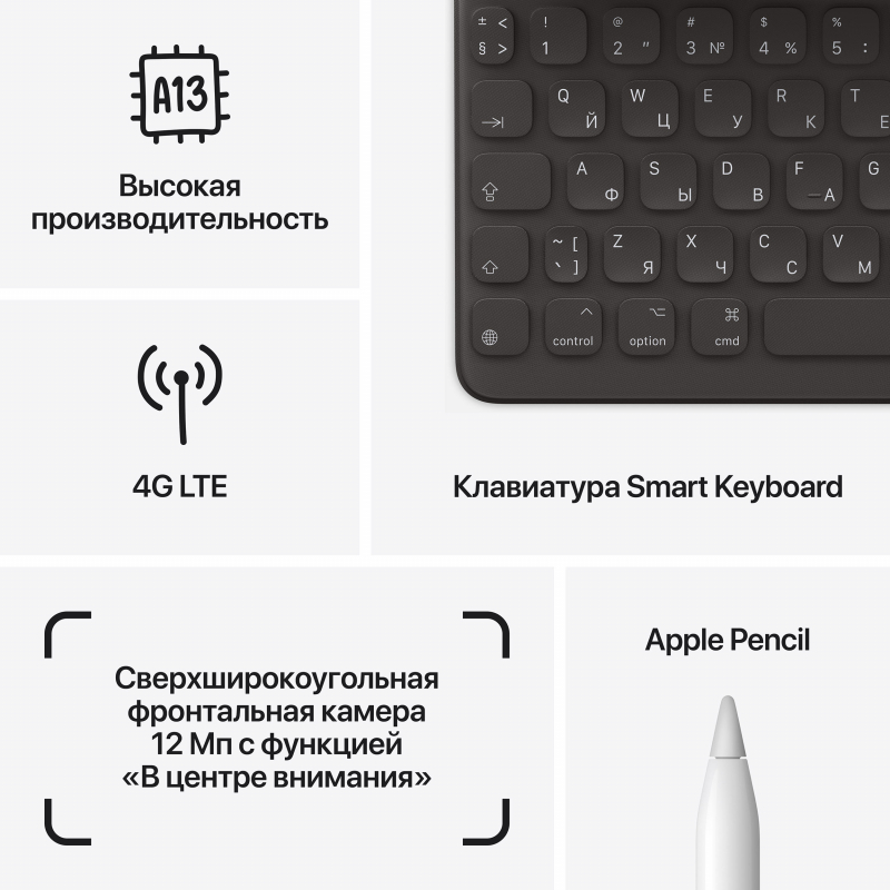 картинка Apple iPad 10,2" (2021) Wi-Fi + Cellular от магазина BXSTORE