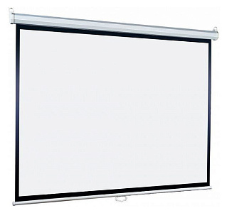 Экран Lumien 220x220см Eco Picture LEP-100110 1:1 настенно-потолочный рулонный