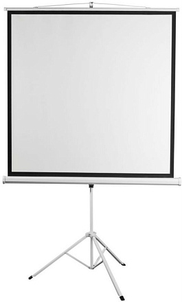 Экран 172x172см Digis Kontur-D DSKD-1104 1:1 напольный рулонный